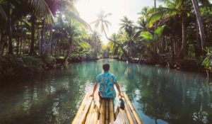 Mehr über den Artikel erfahren Lessons from Trailblazers Inspiring Stories of Successful Leaders